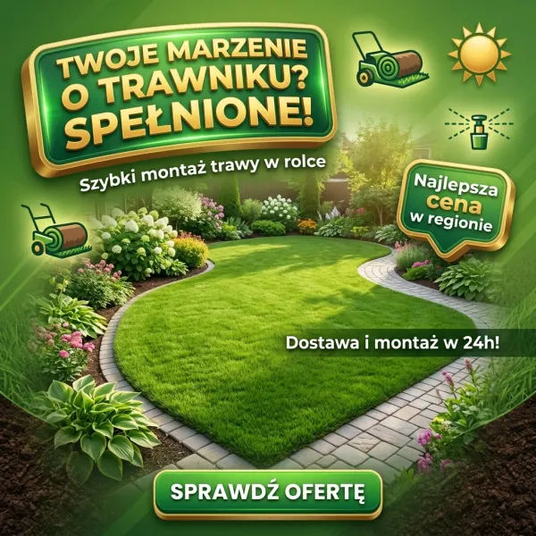 Grafiki na Social Media